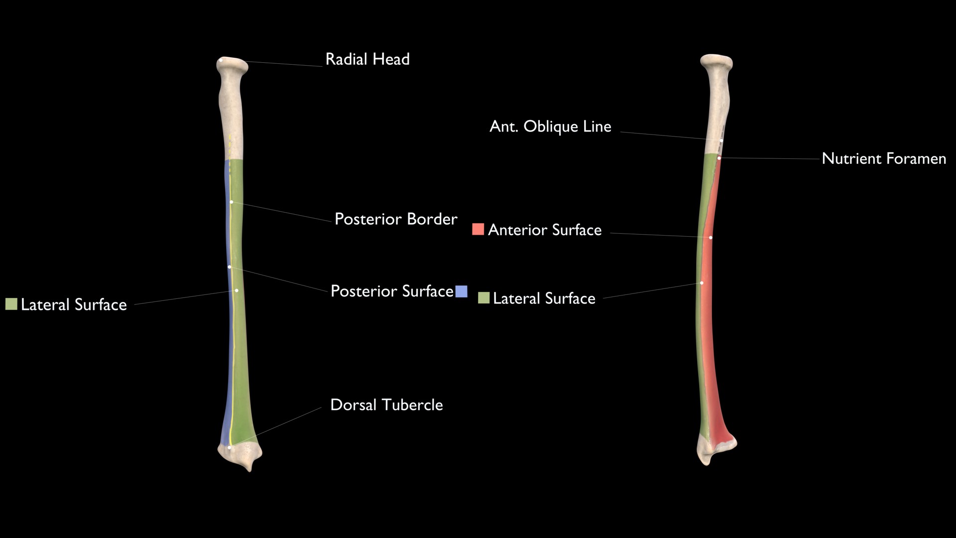 Lateral Surface of Radius