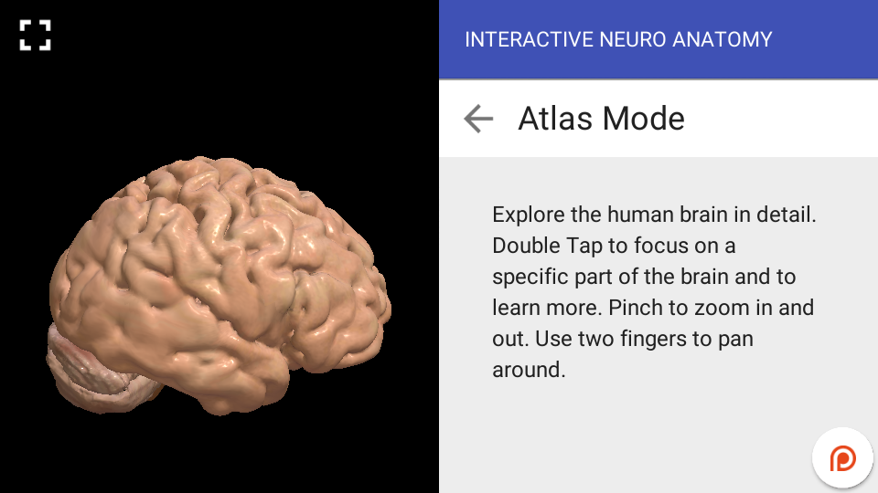 Interactive Neuro Anatomy 3D - New Version Released 