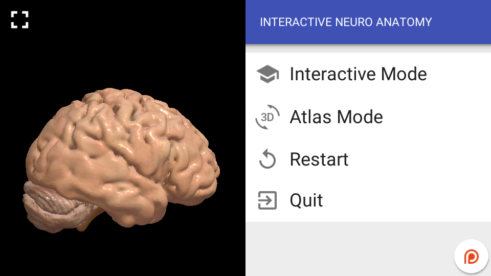 Interactive Neuro Anatomy 3D - New Version Released 