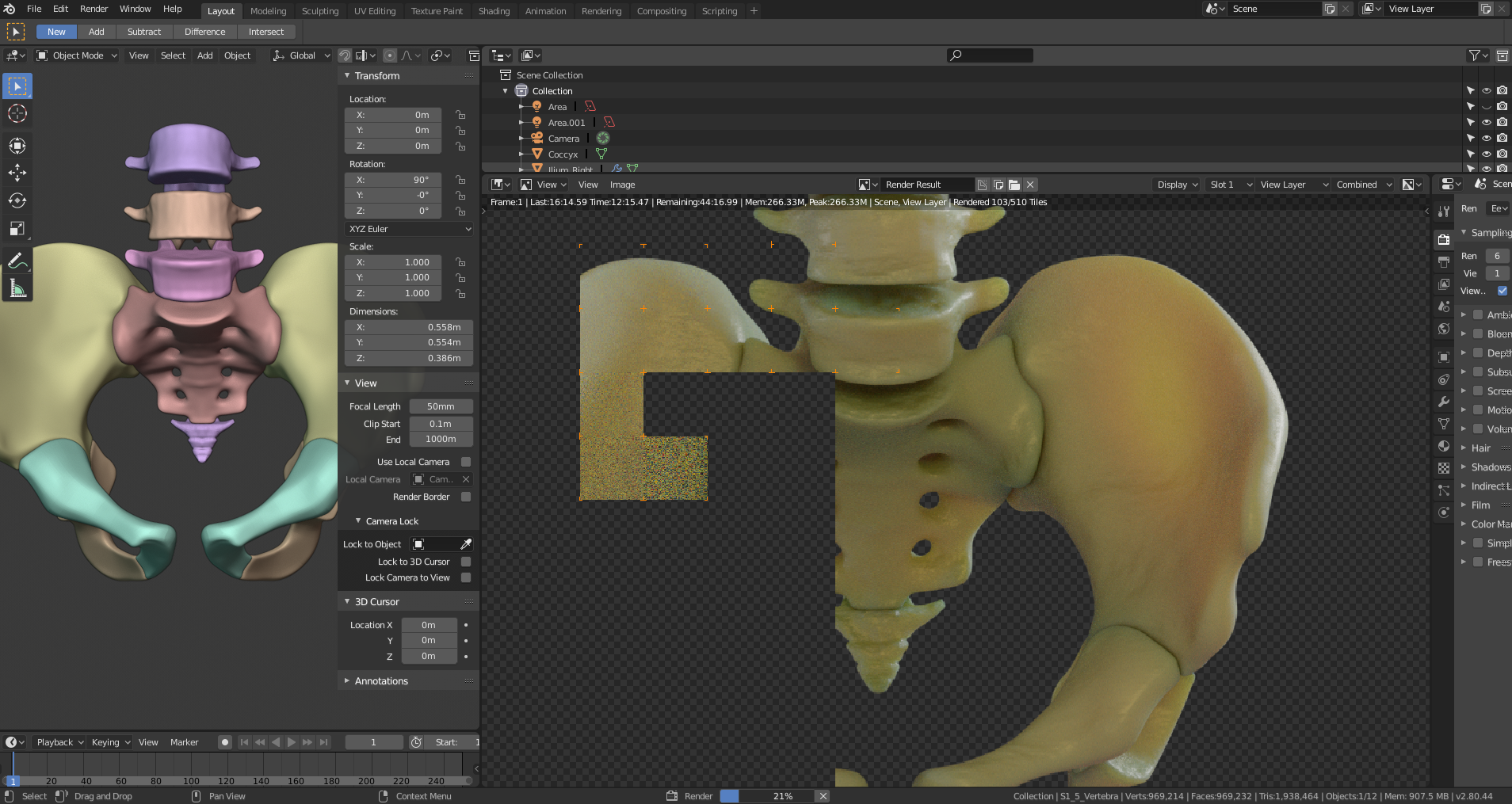 Pelvis Rendering in blender 2.8 with cycles engine