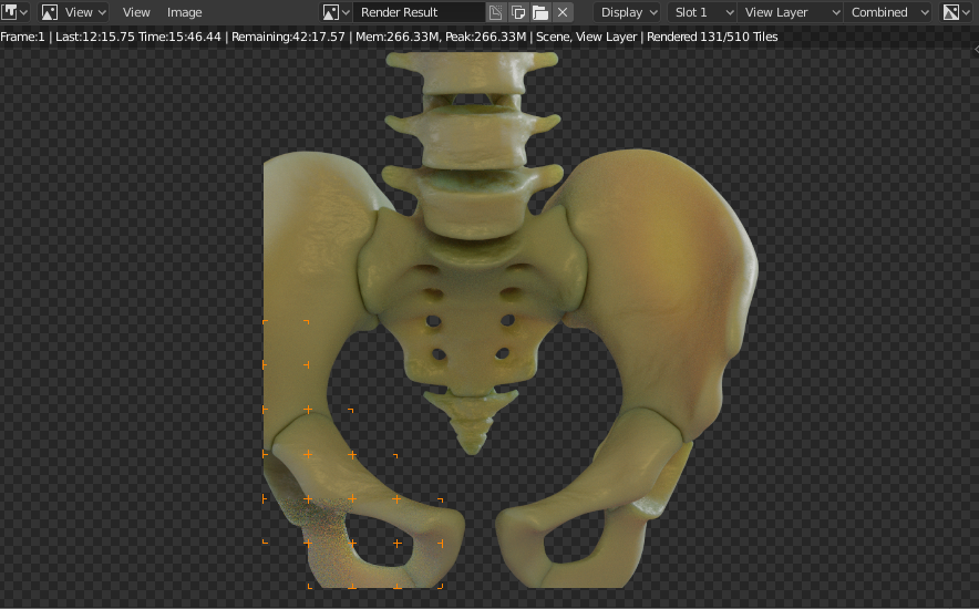 Pelvis Rendering in blender 2.8 with cycles engine