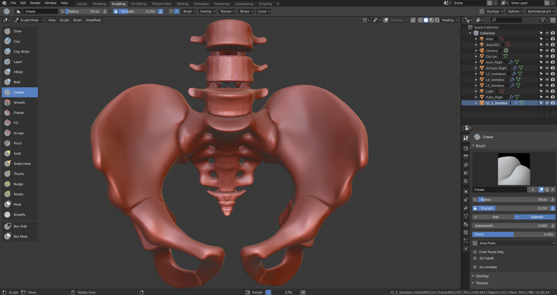 sculptin-pelvis-in-blender