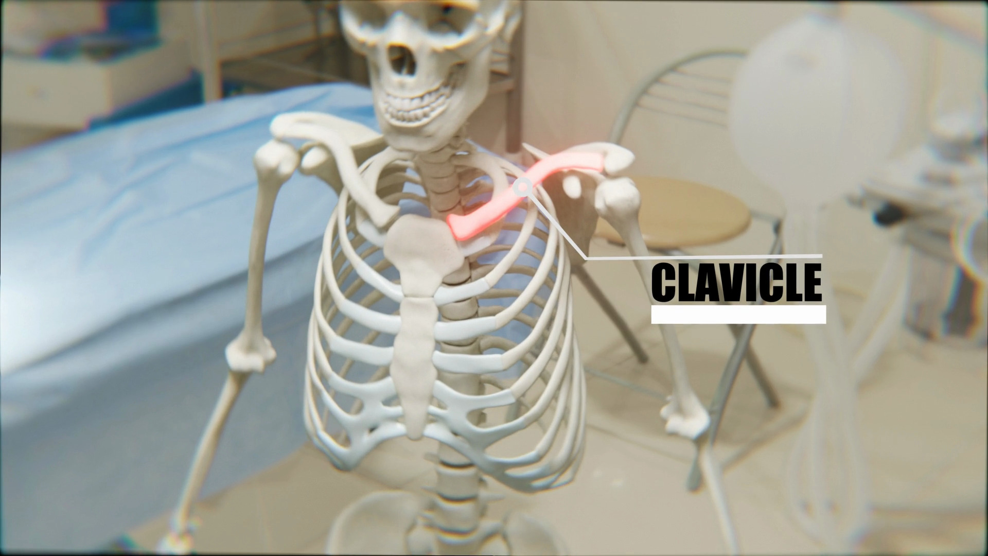 Anatomy of Clavicle