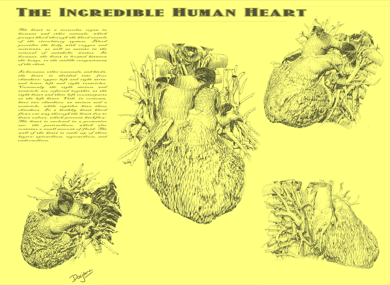 Old Textbook Style Animated Heart