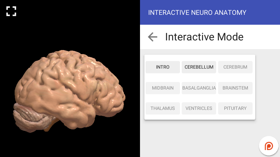 Interactive Neuro Anatomy 3D - New Version Released 