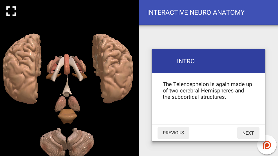 Interactive Neuro Anatomy 3D - New Version Released.