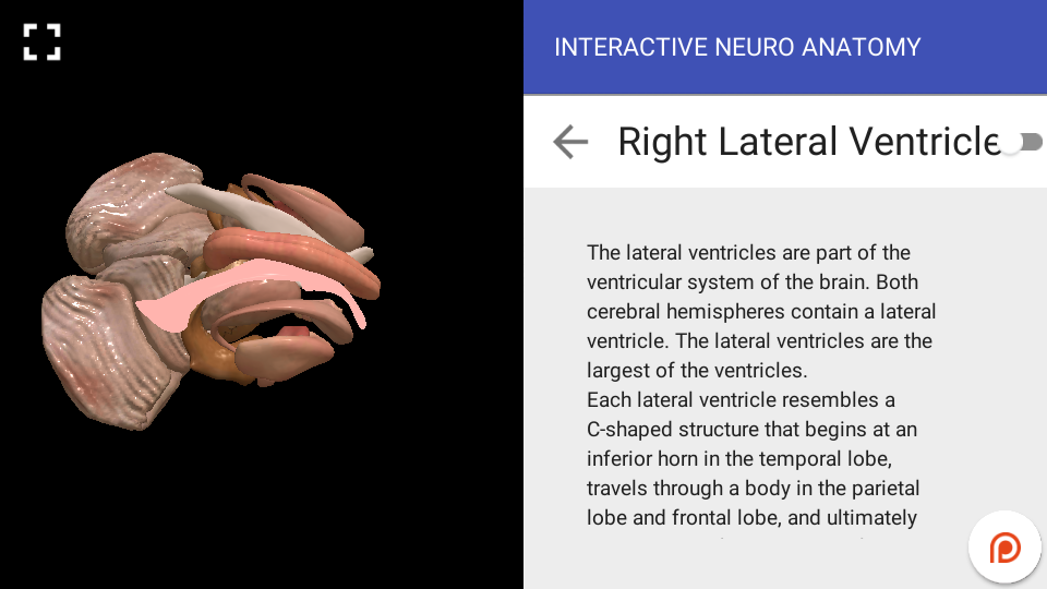 Interactive Neuro Anatomy 3D - New Version Released 