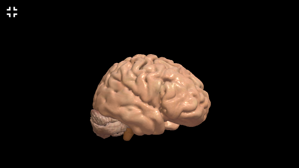 Interactive Neuro Anatomy 3D - New Version Released 