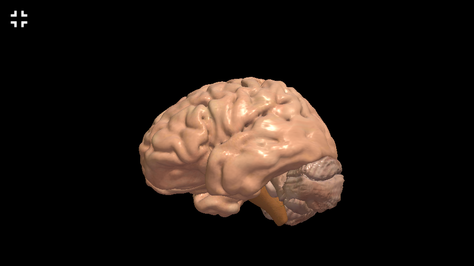 Interactive Neuro Anatomy 3D - New Version Released 